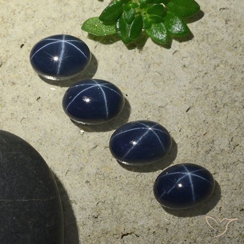 6.34ctw Natural Azul marinho profundo Safira estrela, oval, Opaco