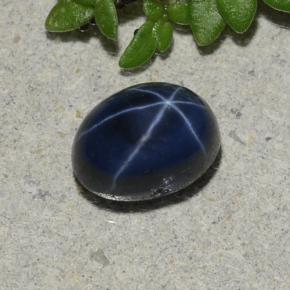 Safira Estrela Azul marinho profundo Natural 1.71ct, Corte Oval, Opaco