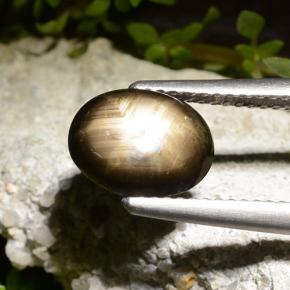 Safira estrela preto natural 2,71ct, corte oval, opaco