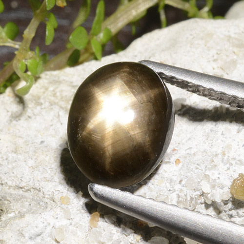 Safira estrela preto natural 2,78ct, corte oval, opaco