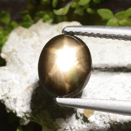 Safira estrela preto natural 2,65ct, corte oval, opaco