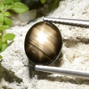 Safira Estrela Preto Natural 2.32ct, Corte Oval, Opaco