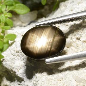 Safira Estrela Preto Natural 2.32ct, Corte Oval, Opaco