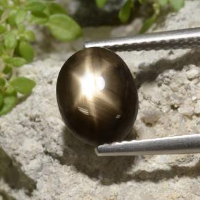 Safira Estrela Preto Natural 3.33ct, Corte Oval, Opaco