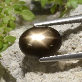 Safira Estrela Preto Natural 3.33ct, Corte Oval, Opaco