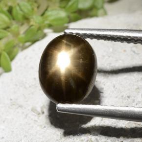 Safira Estrela Preto Natural 2.54ct, Corte Oval, Opaco