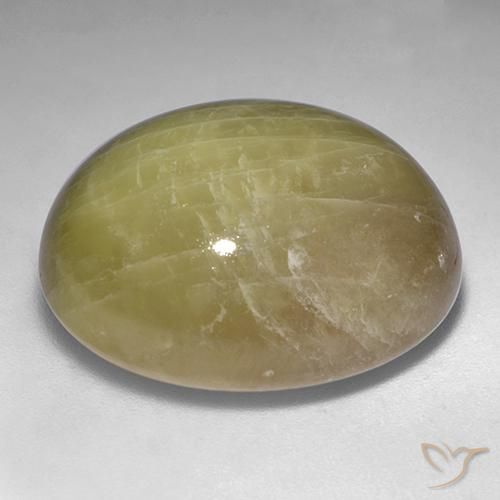 Safira estrela Amarelo dourado Natural 54.80ct, oval, Opaco