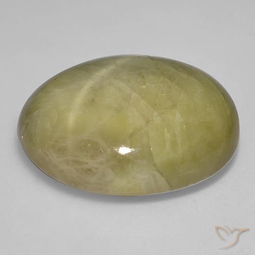 Safira estrela Amarelo dourado Natural 46.06ct, oval, Opaco