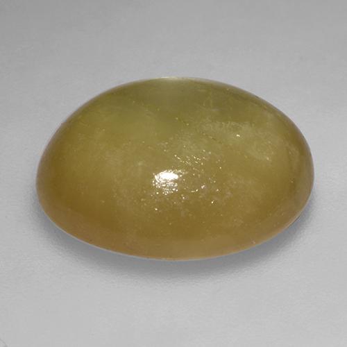 Safira estrela dourado natural 16,50ct, corte oval, opaco