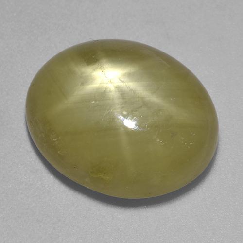 Safira estrela dourado natural 12,41ct, corte oval, opaco