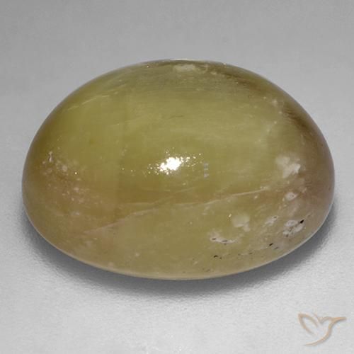 Safira estrela Amarelo dourado Natural 22.44ct, oval, Opaco