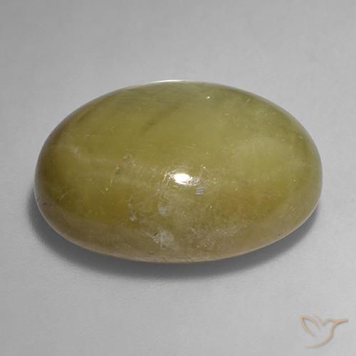 Safira estrela Amarelo dourado Natural 31.68ct, oval, Opaco