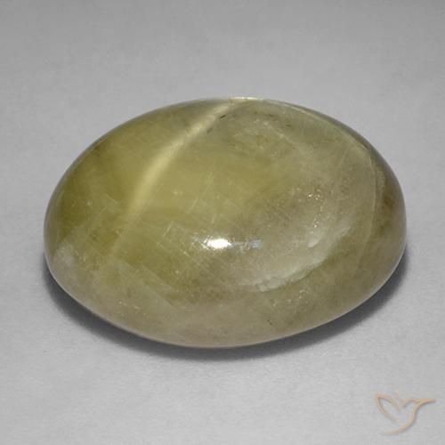 Safira estrela Amarelo dourado Natural 26.69ct, oval, Opaco