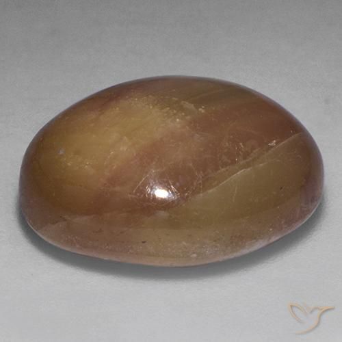 Safira estrela Ouro Alaranjado Natural 22.20ct, oval, Opaco