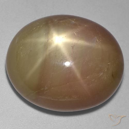 31.95ct Natural Ouro Alaranjado Safira estrela, oval, Opaco