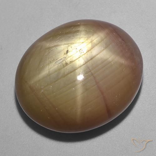 40.06ct Natural Ouro Alaranjado Safira estrela, oval, Opaco