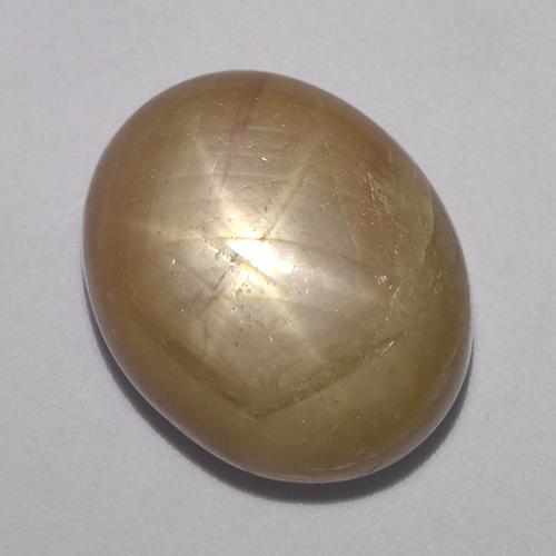 Safira estrela ouro alaranjado natural 19,61ct, corte oval, opaco
