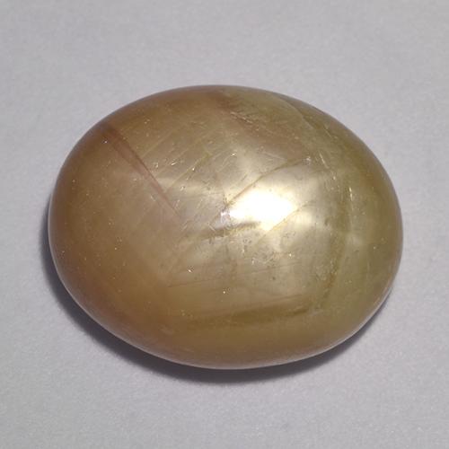 Safira estrela ouro alaranjado natural 19,61ct, corte oval, opaco