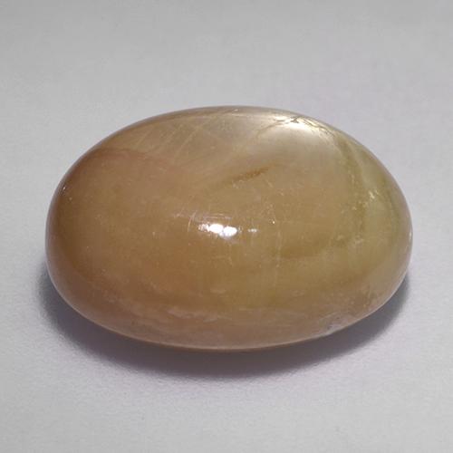 Safira estrela ouro alaranjado natural 19,61ct, corte oval, opaco