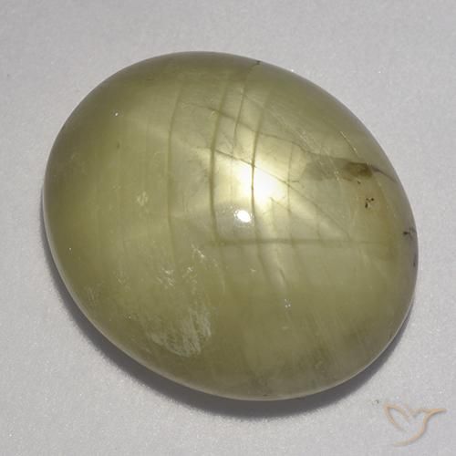 23.11ct Natural amarelo neutro Safira estrela, oval, Opaco