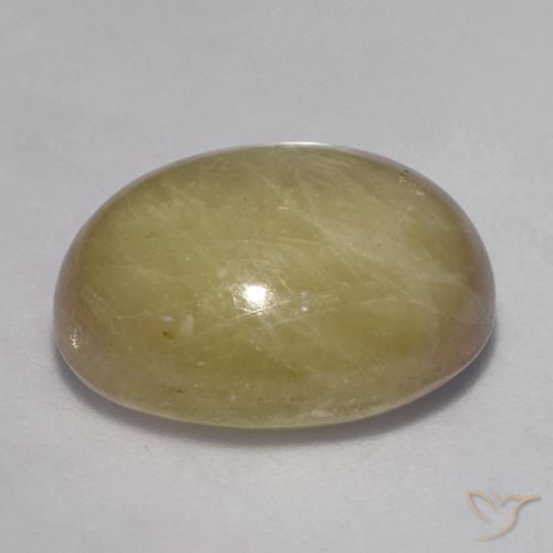 Safira estrela Amarelo dourado Natural 16.71ct, oval, Opaco