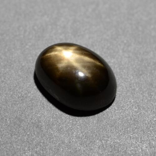 Safira Estrela Preto Natural 1.45ct, Corte Oval, Opaco