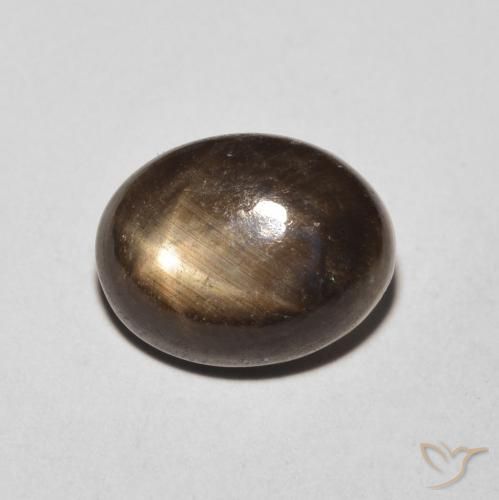4.26ct Natural Preto Safira estrela, oval, Opaco