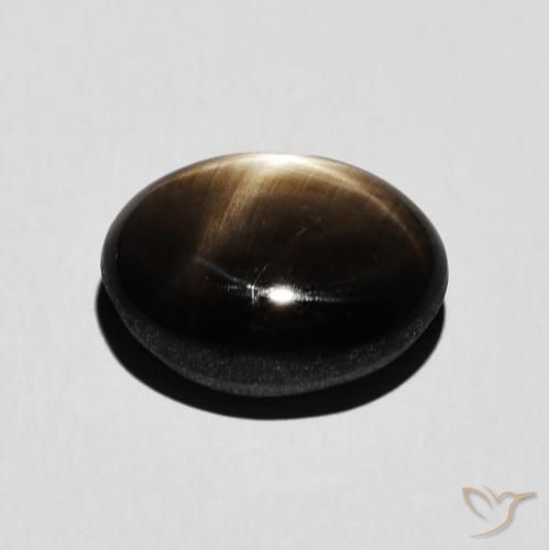 Safira estrela preto natural 6,54ct, corte oval, opaco