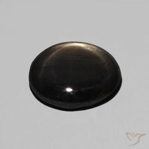 Safira estrela Preto Natural 4.89ct, oval, Opaco