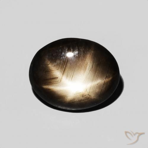 3.89ct Natural Preto Safira estrela, oval, Opaco