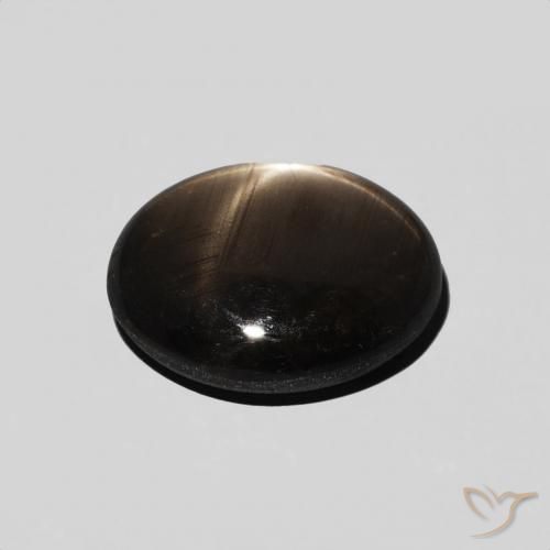 Safira estrela Preto Natural 3.89ct, oval, Opaco