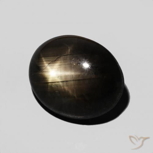 Safira estrela Preto Natural 6.83ct, oval, Opaco