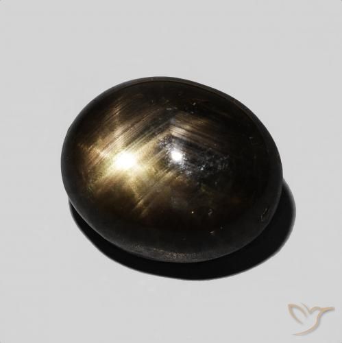 Safira estrela Preto Natural 9.54ct, oval, Opaco