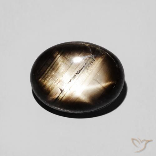 2.97ct Natural Preto Safira estrela, oval, Opaco