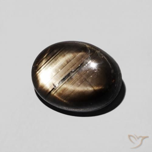 Safira estrela Preto Natural 2.97ct, oval, Opaco