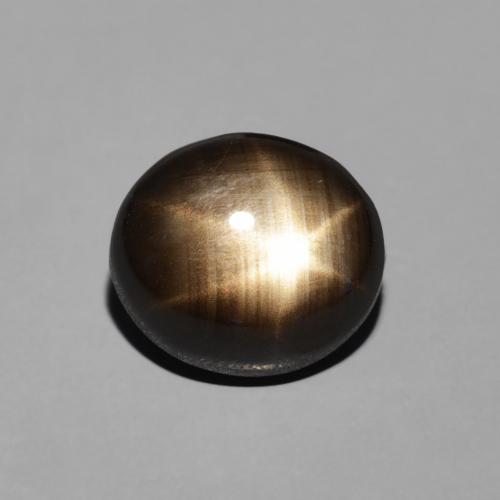 2.74ct Natural Preto Safira estrela, oval, Opaco