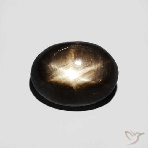 3.16ct Natural Preto Safira estrela, oval, Opaco