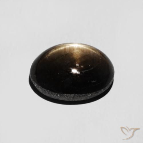 Safira estrela Preto Natural 3.16ct, oval, Opaco