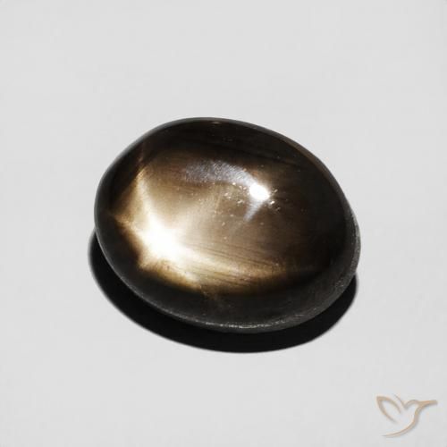 Safira estrela Preto Natural 3.50ct, oval, Opaco