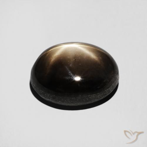 Safira estrela Preto Natural 3.50ct, oval, Opaco
