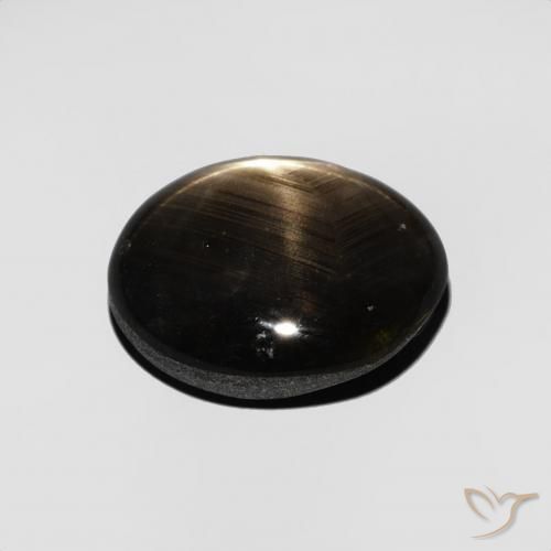 Safira estrela Preto Natural 4.35ct, oval, Opaco