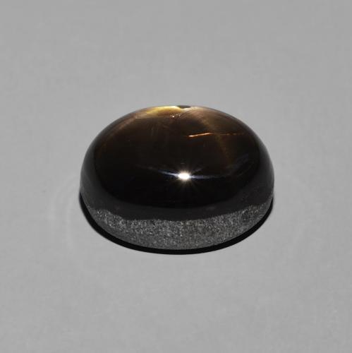 Safira estrela Preto Natural 5.71ct, oval, Opaco