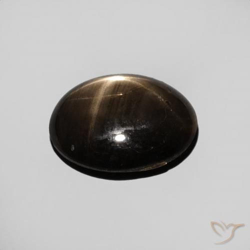 Safira estrela Preto Natural 3.44ct, oval, Opaco