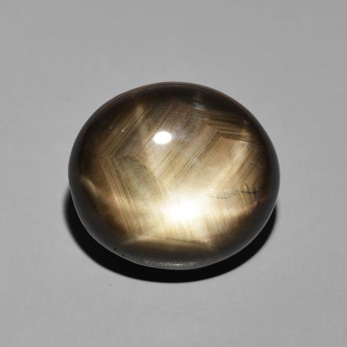 19.55ct Natural Preto Safira estrela, oval, Opaco