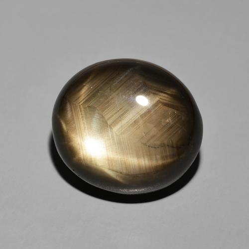 Safira estrela Preto Natural 19.55ct, oval, Opaco