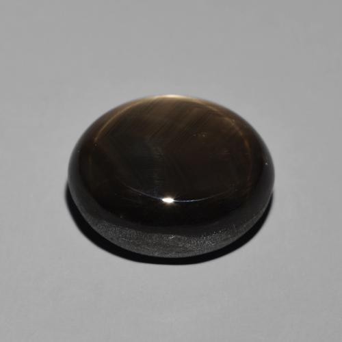 Safira estrela Preto Natural 19.55ct, oval, Opaco