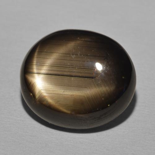 Safira estrela Preto Natural 20.30ct, oval, Opaco