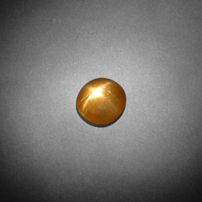 Pedra do Sol Estelar Marrom dourado Natural 0.85ct, Corte Oval, Opaco