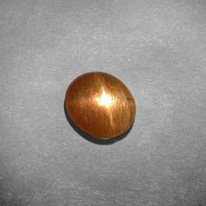 Pedra do Sol Estelar Marrom dourado Natural 1.55ct, Corte Oval, Opaco