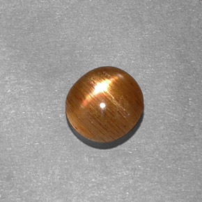 Pedra do Sol Estelar Marrom dourado Natural 0.65ct, Corte Oval, Opaco